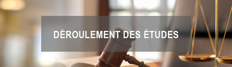 Lien renvoyant vers la page intitulée "déroulement des études en licence droit franco-allemand"