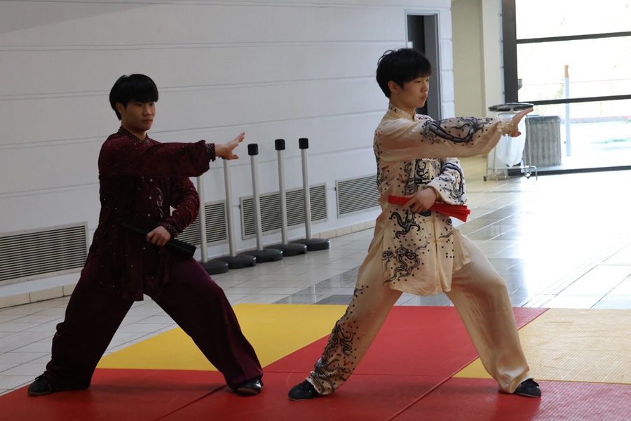 Spectacle d'arts martiaux